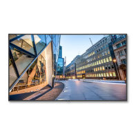 Preview: NEC C751Q
