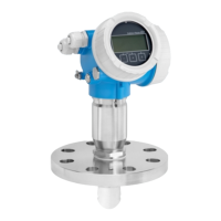 Preview: Endress+Hauser Micropilot FMR60