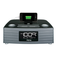 Preview: iHome iBT97