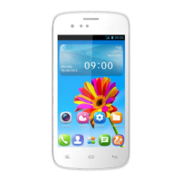 Preview: Gionee P2
