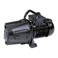 Preview: Flotec GARDENJET 1000