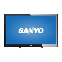 Preview: Sanyo DP50843