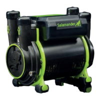 Preview: Salamander Pumps CT Force