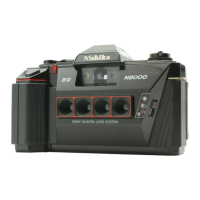 Preview: Nishika N8000