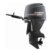 Preview: Yamaha F75C