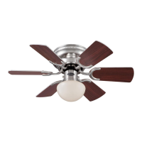 Preview: Westinghouse Petite