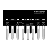 Preview: Hammond XPK-100