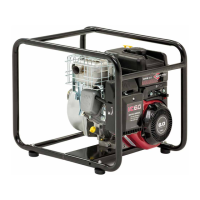 Preview: Briggs & Stratton WP2-60