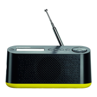 Preview: Grundig Music 45 DAB+