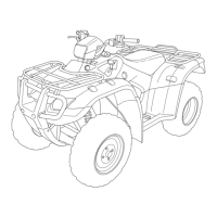 Preview: Honda TRX500FA 2006