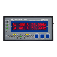Preview: Woodward SPM-D2-10/YB