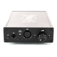 Preview: Cavalli Audio Liquid Carbon