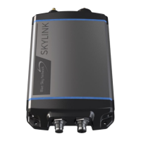 Preview: Blue Sky Network SKYLINK 7100
