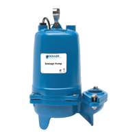 Preview: Xylem Goulds 3887 Series