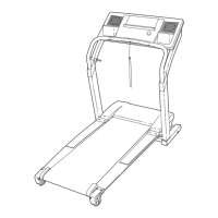 Preview: NordicTrack NTL16950