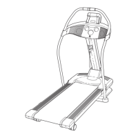 Preview: NordicTrack NTK1994.0