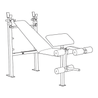 Preview: Weider WEBE38890
