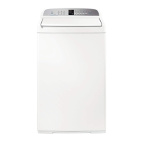 Preview: Fisher & Paykel WashSmart Eco