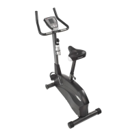 Preview: Schwinn 117P