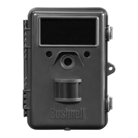 Preview: Bushnell 119600