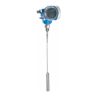 Preview: Endress+Hauser Levelflex FMP56