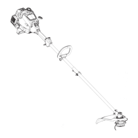 Preview: Craftsman WEEDWACKER 316.791860