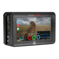 Preview: Atomos Ninja Blade