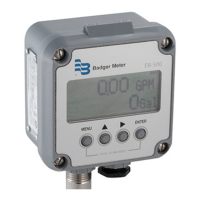 Preview: Badger Meter ER-500