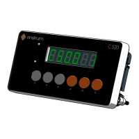 Preview: Rinstrum C520