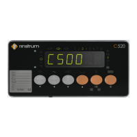 Preview: Rinstrum C530