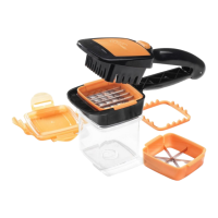Preview: Genius Nicer Dicer Quick
