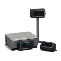 Preview: Avery Weigh-Tronix ZP900