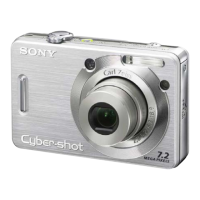 Preview: Sony DSC-W55