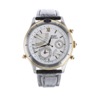 Preview: Citizen Quartz 6760