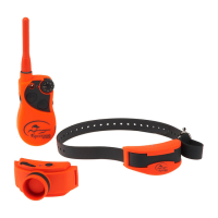 Preview: SportDOG Upland Hunter 1875
