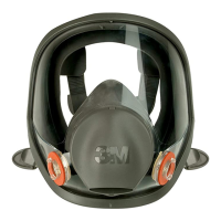 Preview: 3M 6700