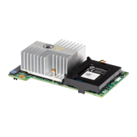 Preview: Dell H310