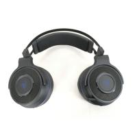 Preview: Razer RC30-022302