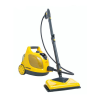 Steam Cleaner Logo