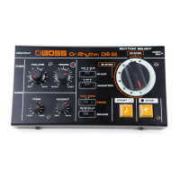 Preview: Boss DR-55