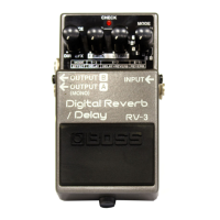 Preview: Boss RV-3
