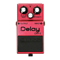 Preview: Boss Delay DM-2