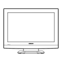 Preview: Orion TV19PL110D A