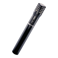 Preview: Shure PG81