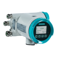 Preview: Siemens SITRANS FCT030