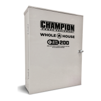 Preview: Champion Power Equipment RELIANCE CONTROLS ARM Series
