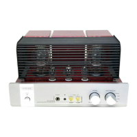 Preview: TRIODE TRV-A300XR