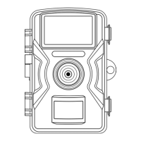 Preview: strex SP265