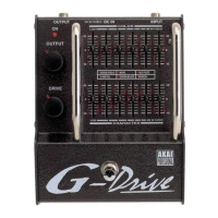 Preview: Akai G-DRIVE D2G