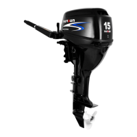 Preview: Parsun F15BM